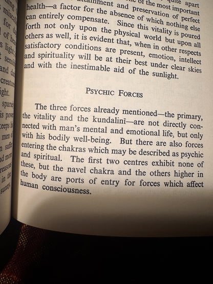 The Chakras