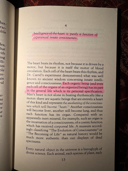 Esoterism & Symbol