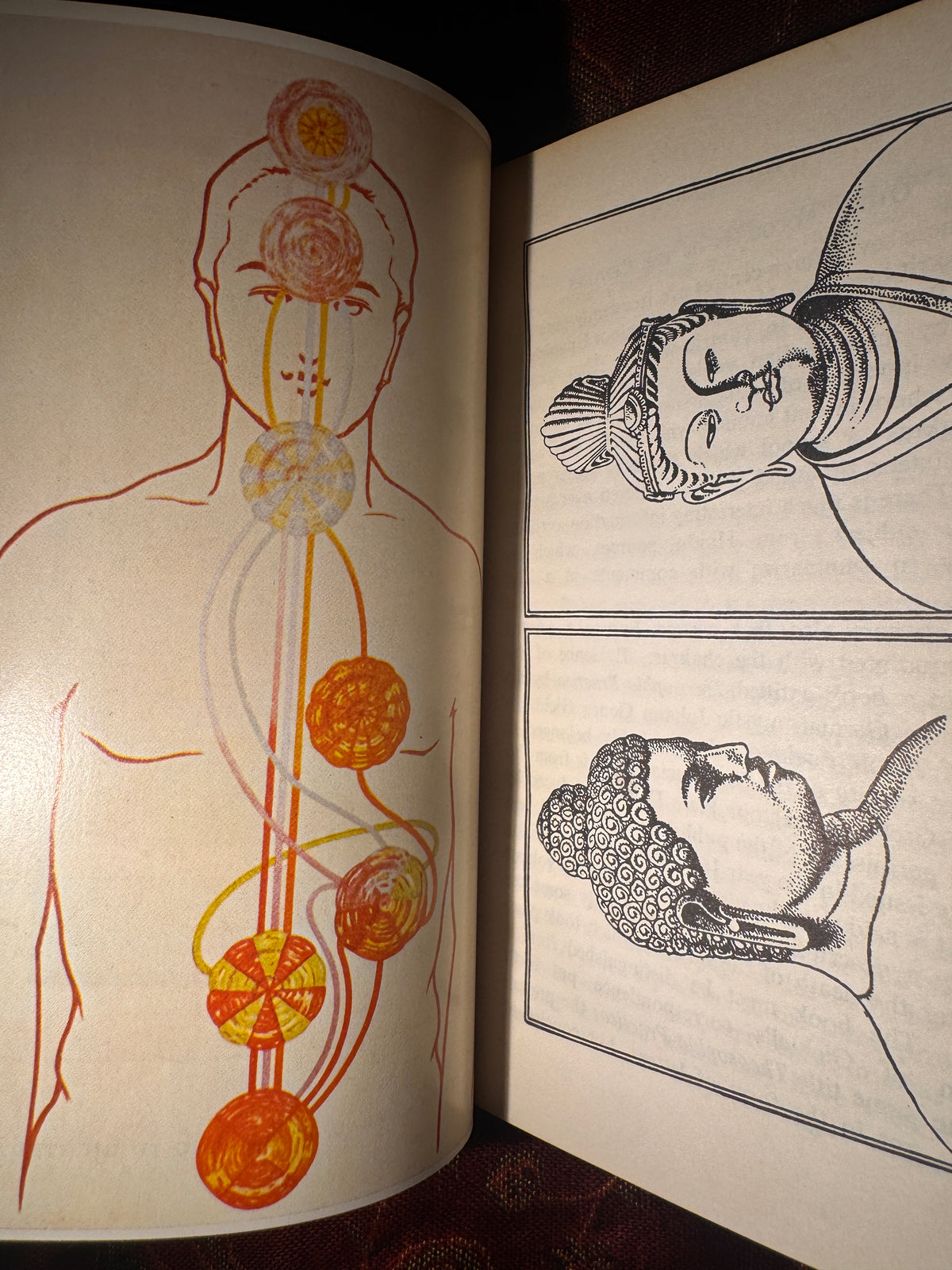 The Chakras