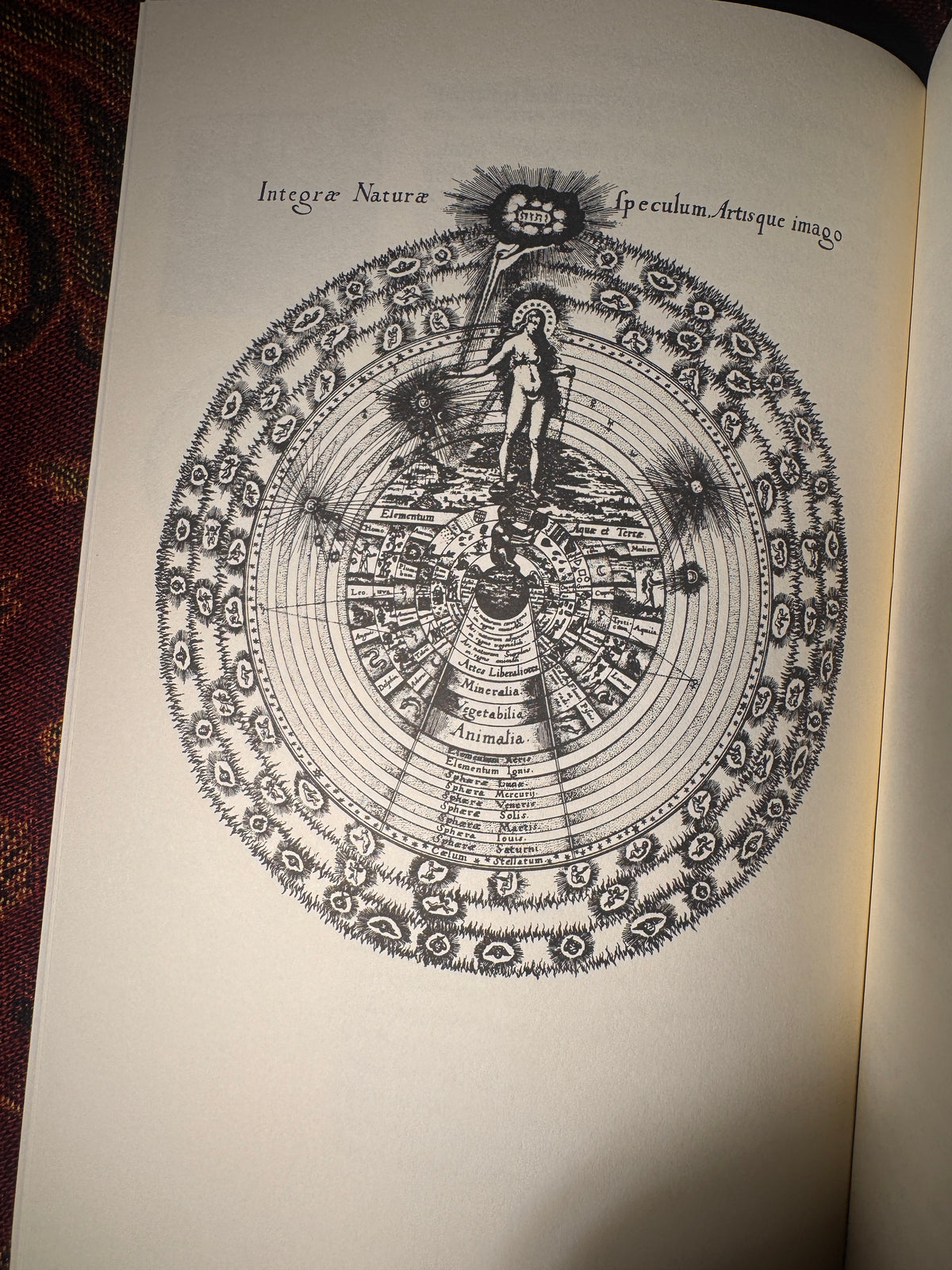 The Alchemical Mandala