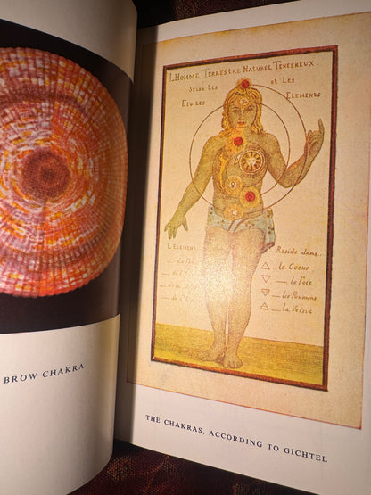 The Chakras